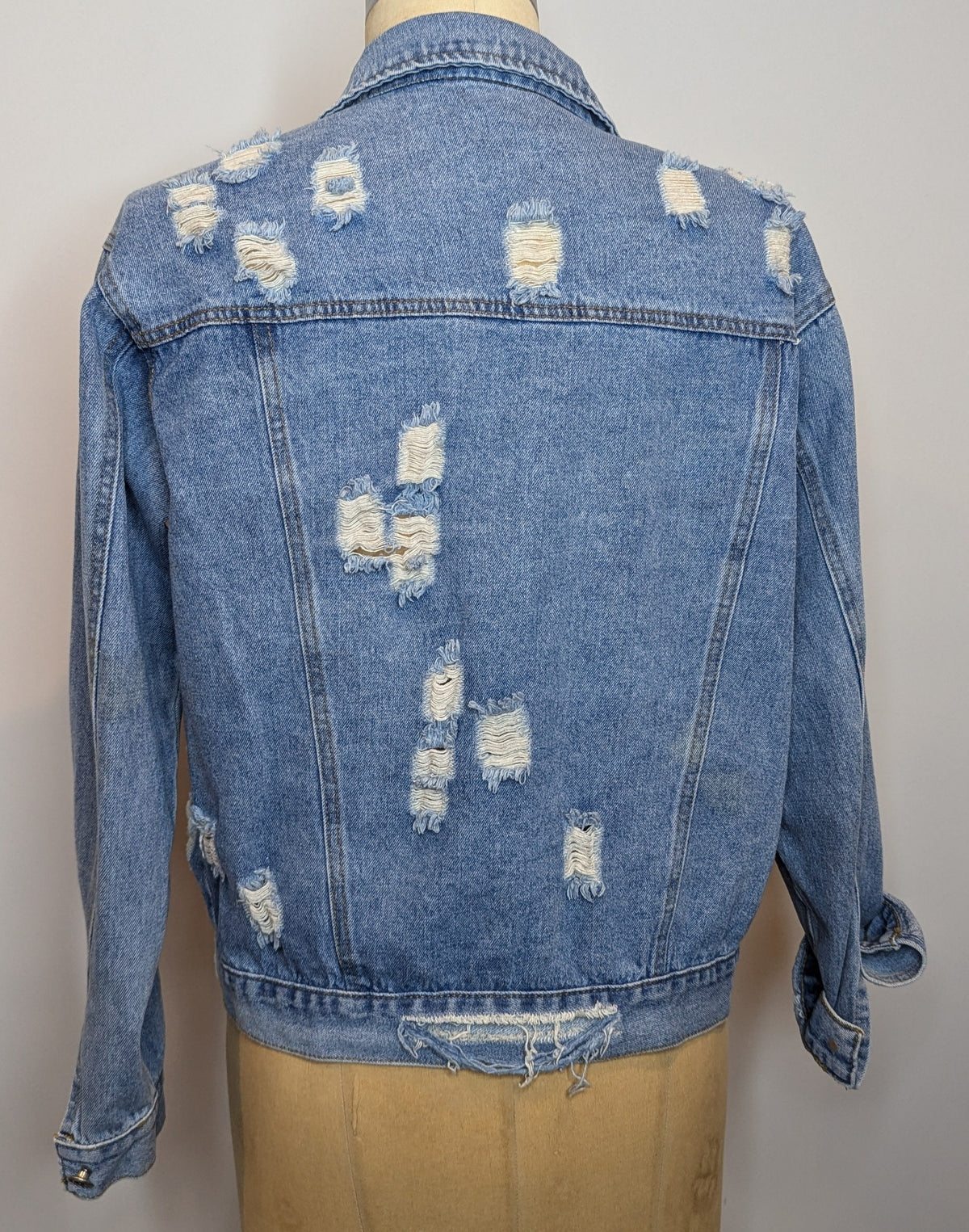 Delilah Distressed Denim Jacket