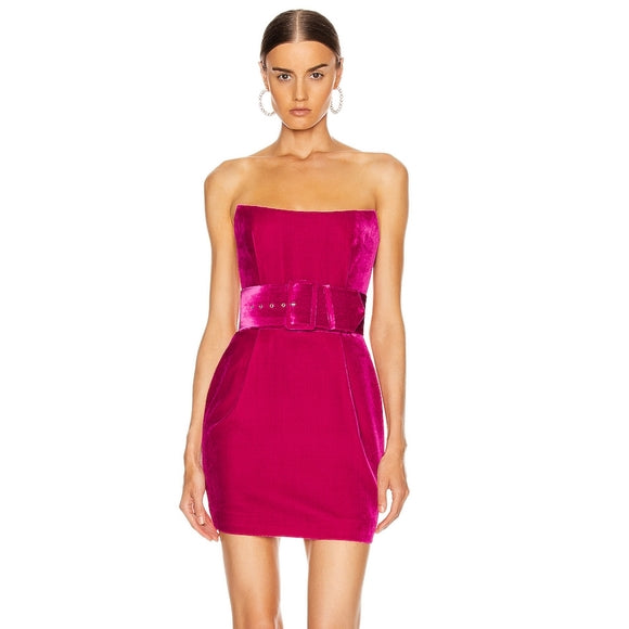 Rasario Silk Velvet Magenta Corset Mini Dress