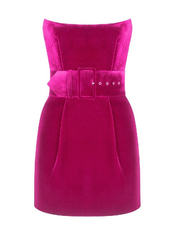 Rasario Silk Velvet Magenta Corset Mini Dress