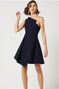 Elliott Asymmetric Navy Dress